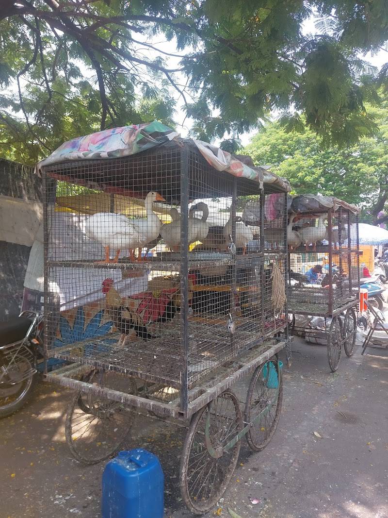Juna Bazar